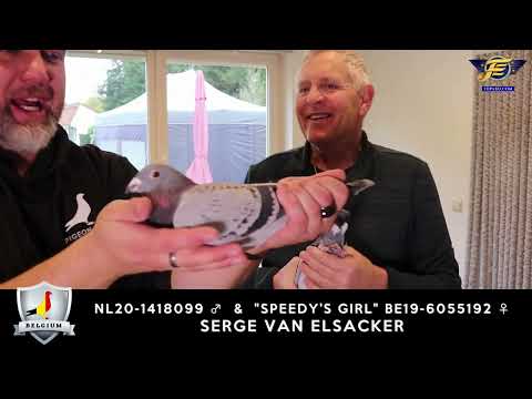 NL20-1418099 & SPEEDYS