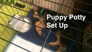 Puppy Potty Set Up and Training This video includes a few examples of how you can set up your puppy when you are in the home or leaving for work. If you work an