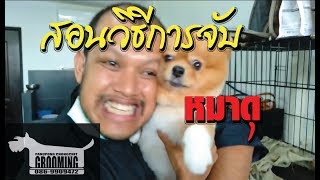 ช่างท้อป-สอนวิธีการจับหมาดุ