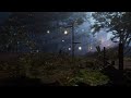 Ambience Of Misty Night In The Forest : Rain, Crickets, Forest Nature Sounds