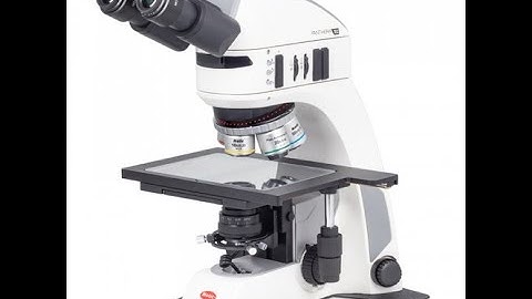 Motic Panthera TEC MAT - Brook Anco Exclusive w/Erect Trinoc-Head, Jenoptik CT5, and I-Solution Lite