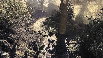 Call of Duty Ghosts differences in texture