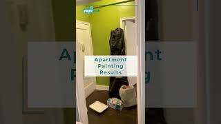 Amazing Multi-Color Apartment Painting Transformation in Brooklyn, NYC! | Brooklyn, NYC