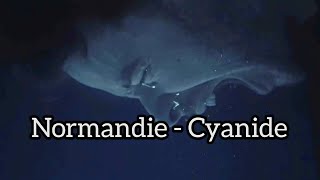Normandie - Cyanide/ Sub español 