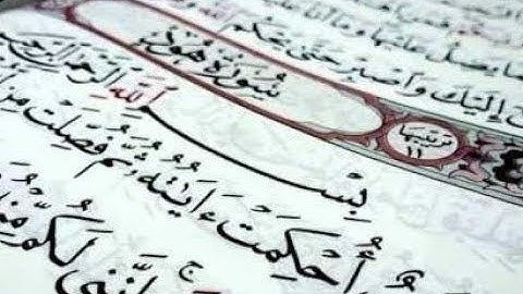 سورة هود للشيخ أنس جلهوم