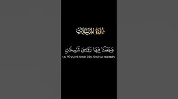 كروما #سورة_المرسلات ج4 #محمد_الفقيه#آيات#اكسبلور#مسلم# #الجزائر#قرآن #كرومات#كرومات_قرآن #قران_كريم