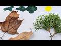 STEM Robotics Programs for Kids | Exploring Nature