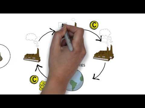 How Carbon Credits Work In Less Than 2 Minutes - Qiewie