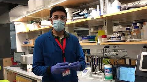 Look Into the Lab - Ambika Bajpayee Lab