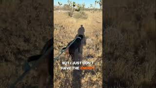 I just don't have the energy #substack #shorts