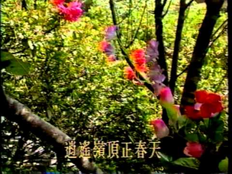 1994 華視 歌仔戲 逍遙公子 黃香蓮 易淑寬 廖麗君 宗衛