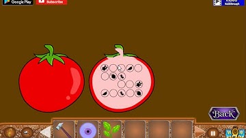 Wowescape Save the Giraffe - Video Walkthrough