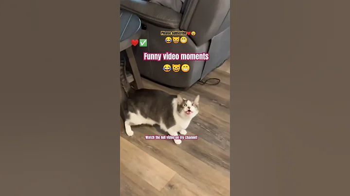 Video 9321351: funny animals compilation, hilarious cat, fails pets, cat cute dog