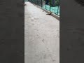jbl mini speaker jumping testing #shorts​