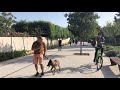 Educateur canin comportementaliste La Ciotat toutoucool13