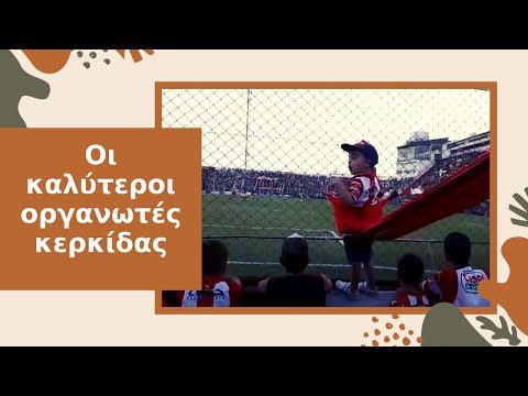 Οι πιο καλοί οργανωτές κερκίδας ❤