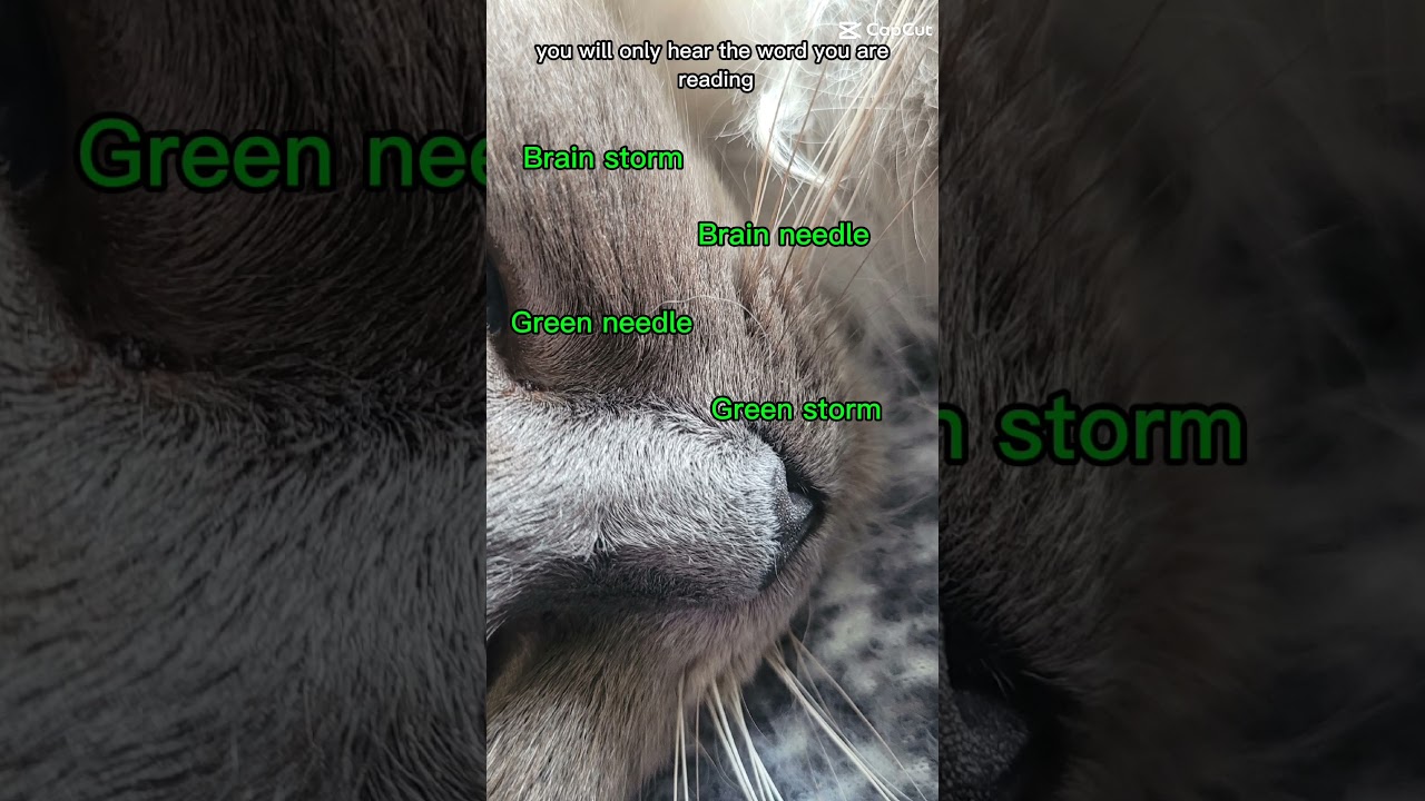 ‪@CryptoHalloween‬