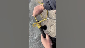 How to make easy camping knot #shorts #git #diy #campingknots #knot