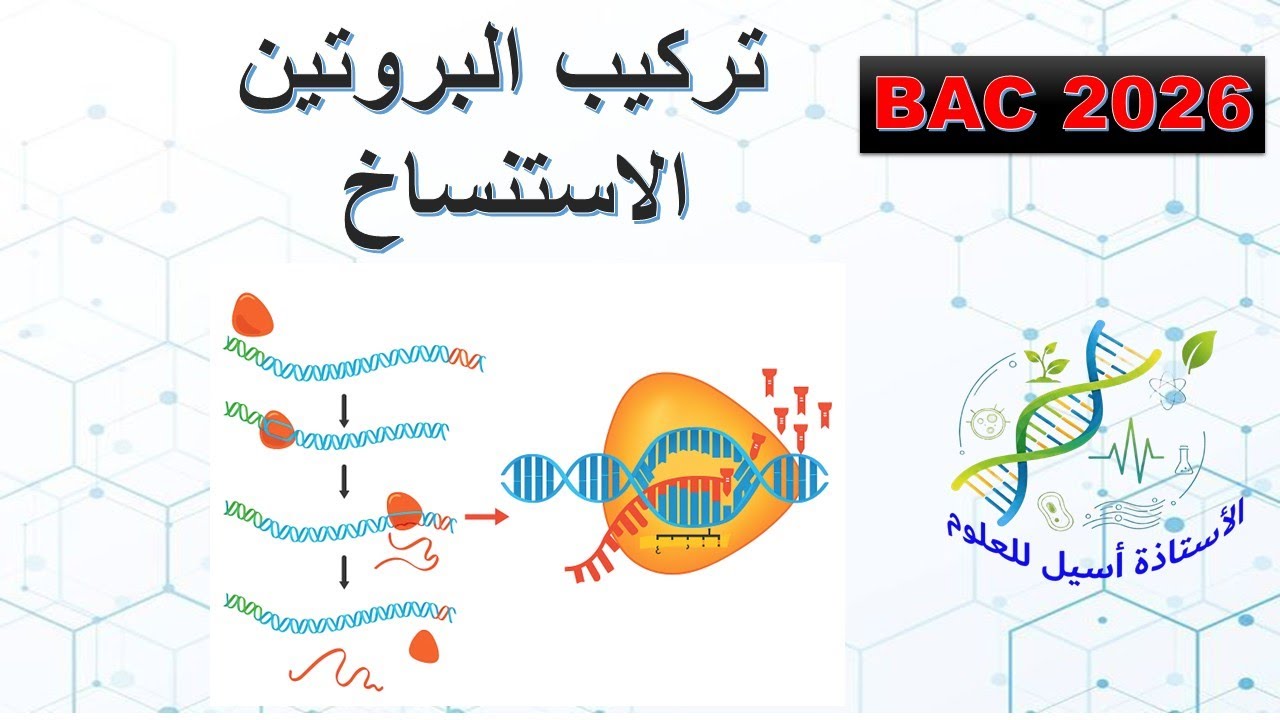 درس2:تركيب البروتين : الاستنساخ علوم طبيعية ثالثة ثانوي علوم +رياضيات#bac2026 #علوم_الطبيعة_والحياة