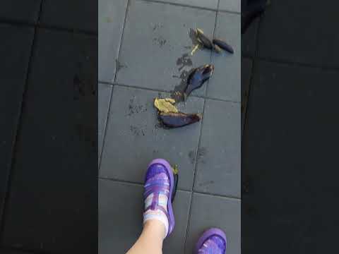Charlotte vs. Eggplants/Aubergines in Purple Melissa Jelly Platform Shoes: Teaser