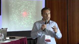 Paul Kubes Phd University Of Calgary