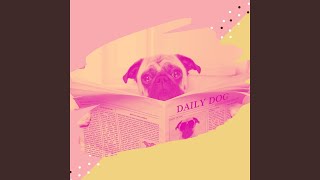 Simplistic Backdrops for Relaxing Pups