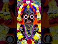 jay Jagannath🙏🙏🙏