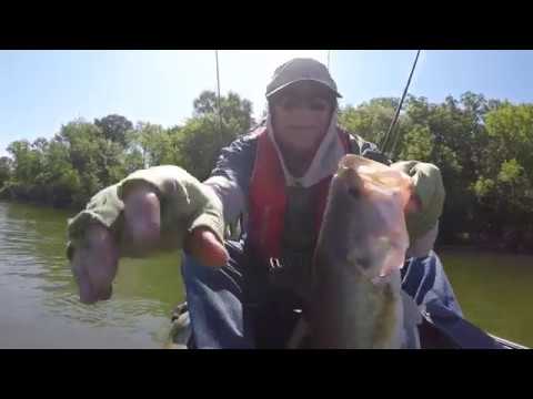 Kayak Bass Fishing Texas Rigged Largemouth Bass