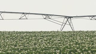 Maine's minimum wage increase will extend to agricultural workers
