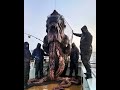 What is that thing?!  #horror #creepycreatures #deepsea #creaturesofthedeep #ocean #scary #oddities