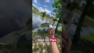 Copy and paste!!#outdoorcommunity #fishing #bassfishing #server #discord #fyp #share #jointhefamily