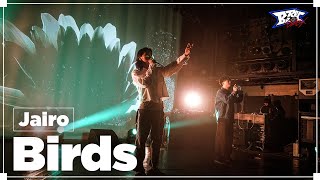 Jairo - Birds【BeRec LIVE Vol.1】