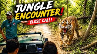 Pilibhit Tiger Reserve Me Tiger Encounter #wildanimals #pilibhittigerreserve #junglesafari 