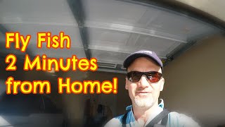 How 2 Fly Fish Urban Streams   2 MINUTES FROM HOME!