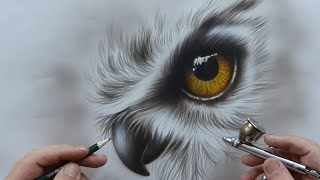 Realistic Owl - Drawing and Airbrush (DESENHO E AEROGRAFIA CORUJA  REALISTA) screenshot 1