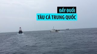 Cận cảnh Kiểm ngư Việt Nam đuổi tàu cá Trung Quốc hoạt động trái phép