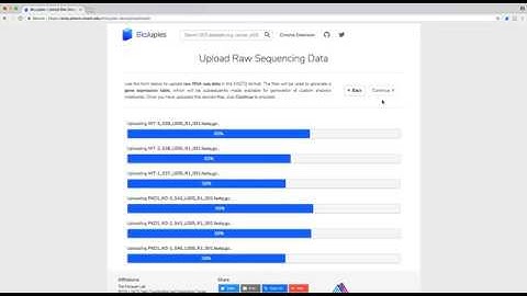Align FASTQ Files | BioJupies Tutorial (Part 1)