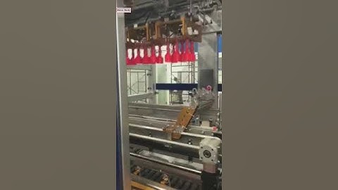 Automatic bottle neck grab type cartoning bottle encasing machine running video