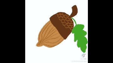 Kickstart your creativity with Procreate drawing No. 9 Acorn reading a book #digitalartcourse