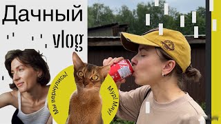 видео: Мы вернулись! Потеряли кота | Дачная терапия | Ищем место для купания в ЛО | Ладога летом картинка: Мы вернулись! Потеряли кота | Дачная терапия | Ищем место для купания в ЛО | Ладога летом