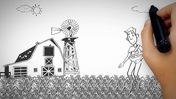 Conscious Planet Whiteboard Animation Video 2 | Cartoon Video