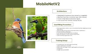 (102780731) - Bird Classification Assignment 1