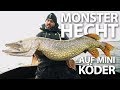 MONSTERHECHT auf MINI Köder - Was für ein Tag!