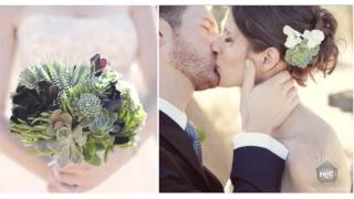 Sassy Style Redesign: Why I Love Succulents
