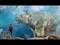 Top 10 Largest Creatures Found Frozen In Ice
