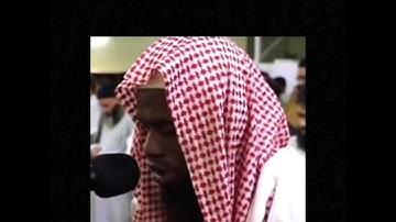 سوره التكوير كامله بصوت القارئ عكاشه كميني | رواية الدوري عن الكسائي