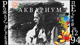 Аквармум "РОЖДЕСТВЕНСКАЯ ПЕСНЯ" 20.12.1994