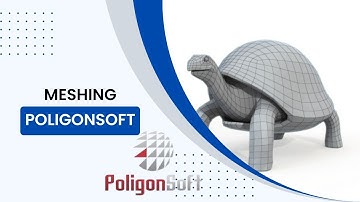 Meshing in PoligonSoft