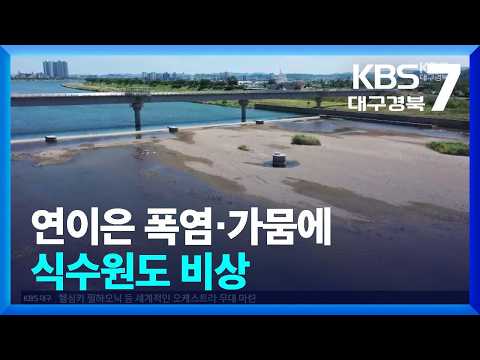 연이은 폭염·가뭄에 식수원도 비상 / KBS  2026.07.30.