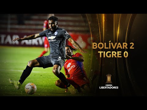 Bolivar Tigre Goals And Highlights